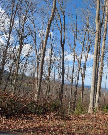 Lot 91 Winding Ridge Blairsville GA 30512