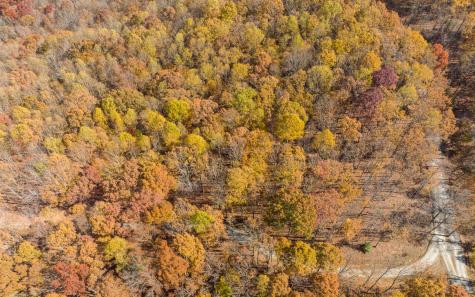 Lot 17r Tanager Trail Ellijay GA 30536