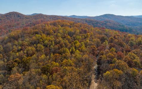 Lot 17r Tanager Trail Ellijay GA 30536
