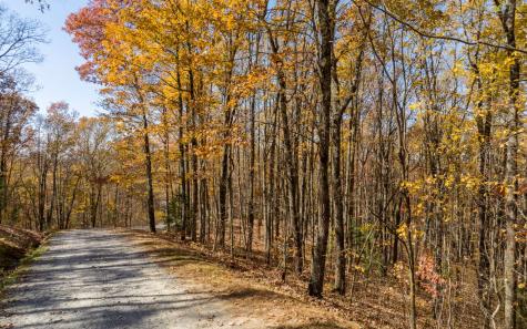 Lot 17r Tanager Trail Ellijay GA 30536