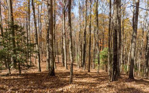 Lot 17r Tanager Trail Ellijay GA 30536