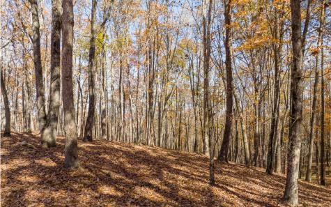 Lot 17r Tanager Trail Ellijay GA 30536