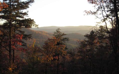 Lot 17r Tanager Trail Ellijay GA 30536