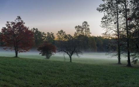 Lot 17r Tanager Trail Ellijay GA 30536