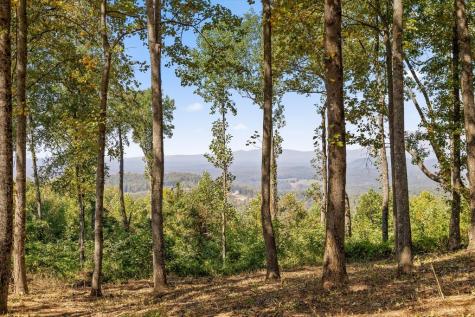 Lot 402 Double Oak Trail Talking Rock GA 30175