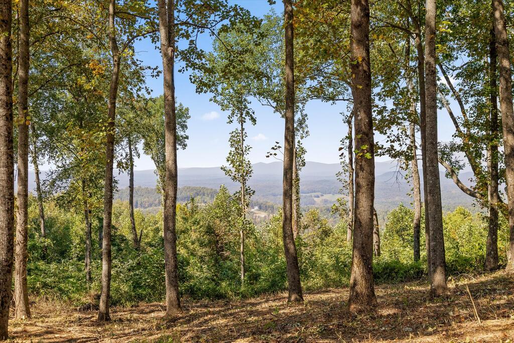 Lot 402 Double Oak Trail Talking Rock GA 30175
