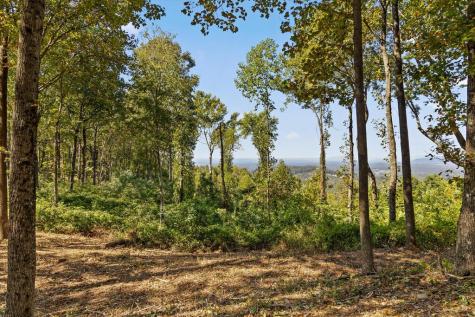 Lot 402 Double Oak Trail Talking Rock GA 30175