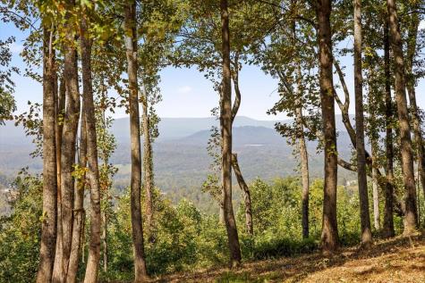 Lot 402 Double Oak Trail Talking Rock GA 30175