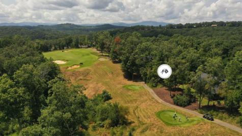 Lot 93 N Fallen Leaf Road Mineral Bluff GA 30559