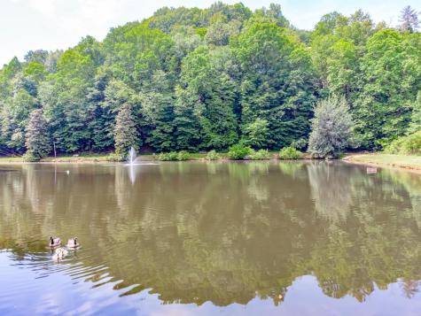 L2696 Palisade Drive Ellijay GA 30540