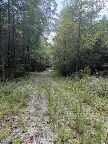 Lot 77 Kudzu Creek Trail Murphy NC 28906