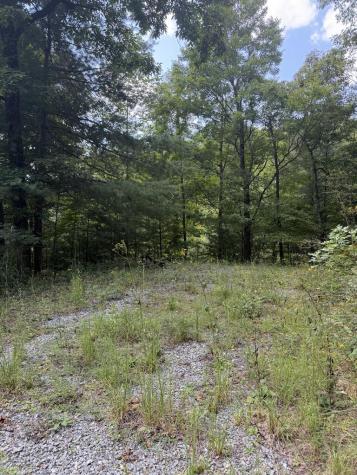 Lot 77 Kudzu Creek Trail Murphy NC 28906