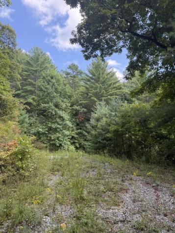Lot 77 Kudzu Creek Trail Murphy NC 28906