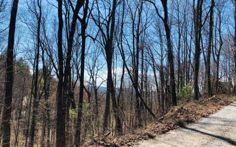 Lt113 Laurel Lane Clayton GA 30525