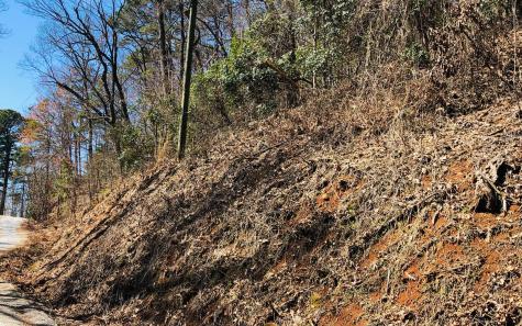 Lt113 Laurel Lane Clayton GA 30525