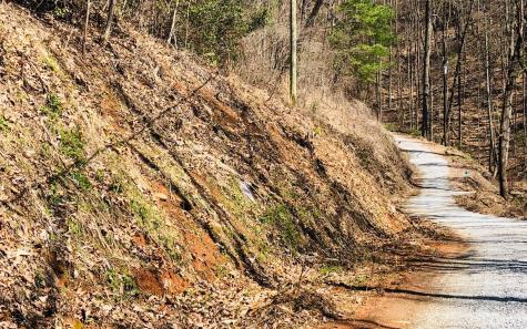 Lt113 Laurel Lane Clayton GA 30525