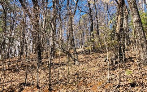 Lt113 Laurel Lane Clayton GA 30525