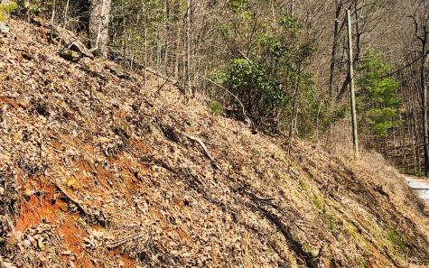 Lt113 Laurel Lane Clayton GA 30525