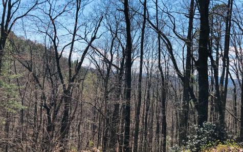 Lt113 Laurel Lane Clayton GA 30525