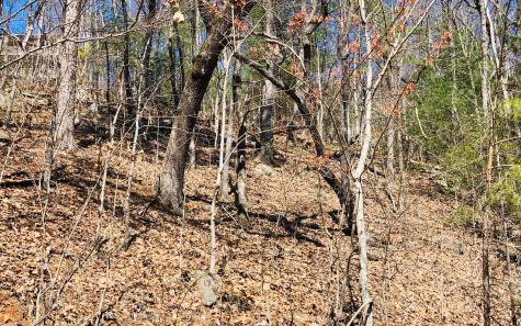 Lt113 Laurel Lane Clayton GA 30525