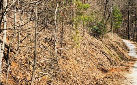 Lt113 Laurel Lane Clayton GA 30525