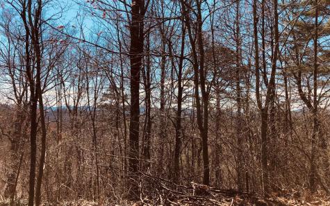 Lt113 Laurel Lane Clayton GA 30525