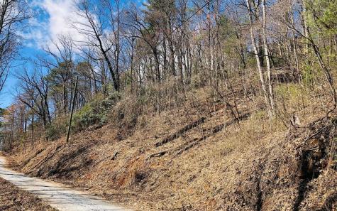 Lt113 Laurel Lane Clayton GA 30525