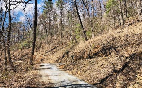 Lt113 Laurel Lane Clayton GA 30525