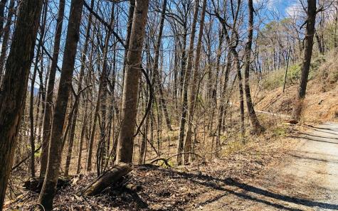 Lt113 Laurel Lane Clayton GA 30525