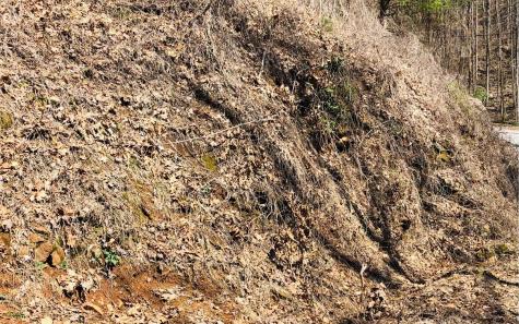 Lt113 Laurel Lane Clayton GA 30525