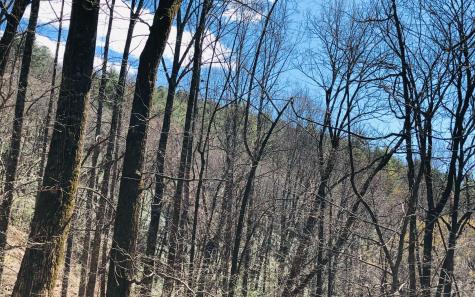 Lt113 Laurel Lane Clayton GA 30525