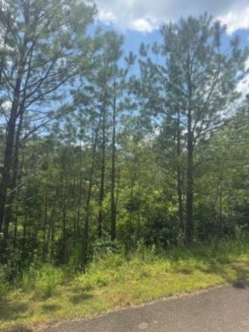 Lt 43&44 Reece Mountain Road Ellijay GA 30536