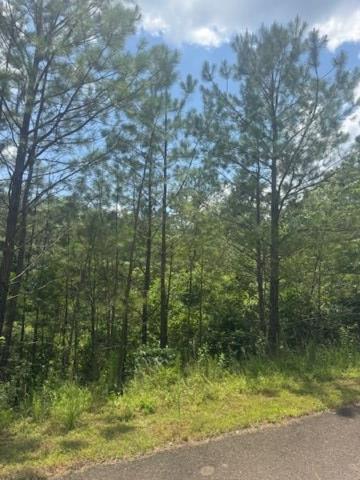 Lt 43&44 Reece Mountain Road Ellijay GA 30536