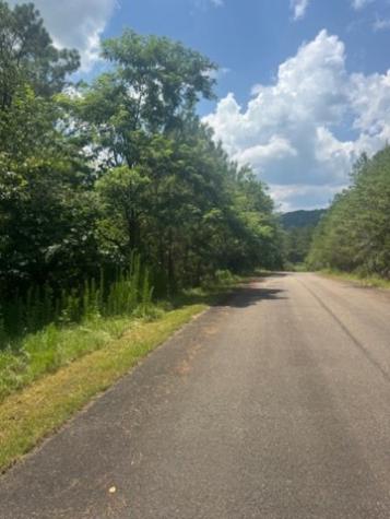Lt 43&44 Reece Mountain Road Ellijay GA 30536