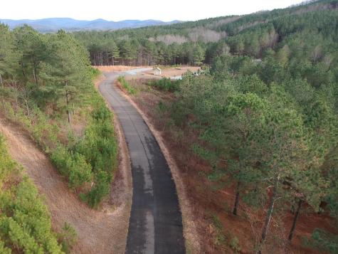 Lt 43&44 Reece Mountain Road Ellijay GA 30536