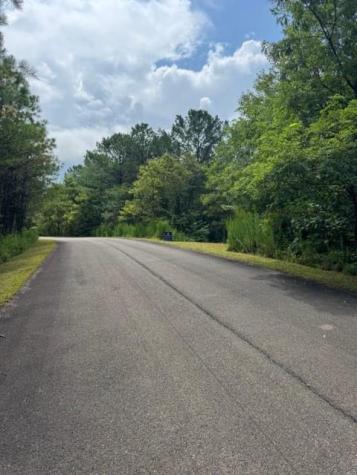 Lt 43&44 Reece Mountain Road Ellijay GA 30536