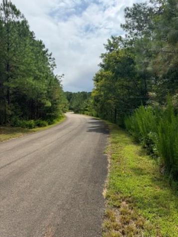 Lt 43&44 Reece Mountain Road Ellijay GA 30536
