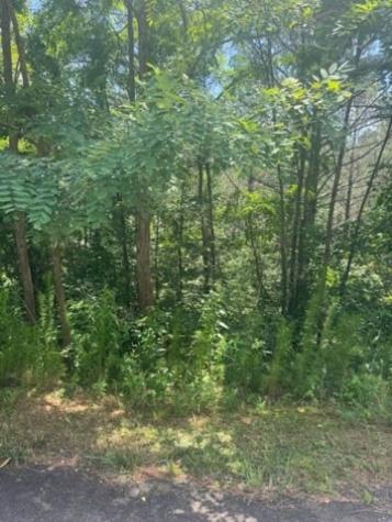 Lt 43&44 Reece Mountain Road Ellijay GA 30536