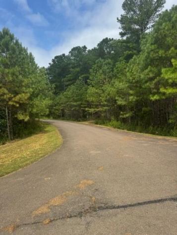 Lt 43&44 Reece Mountain Road Ellijay GA 30536