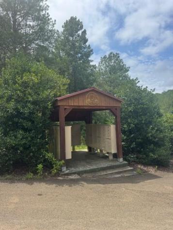 Lt 43&44 Reece Mountain Road Ellijay GA 30536