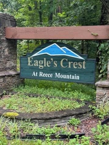 Lt 43&44 Reece Mountain Road Ellijay GA 30536