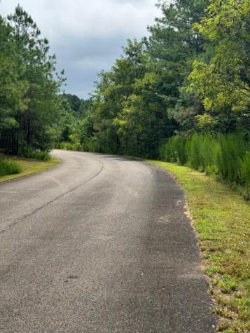 Lt 43&44 Reece Mountain Road Ellijay GA 30536