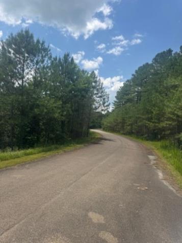 Lt 43&44 Reece Mountain Road Ellijay GA 30536