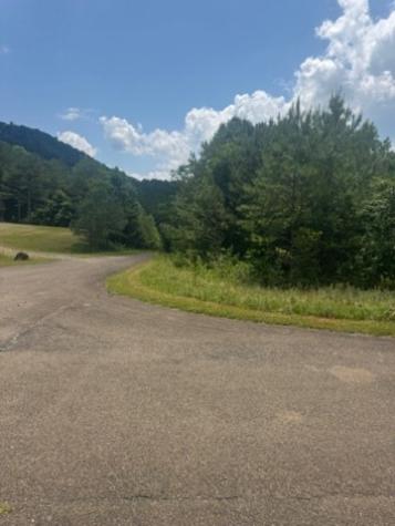 Lt 43&44 Reece Mountain Road Ellijay GA 30536