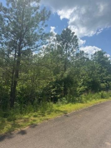 Lt 43&44 Reece Mountain Road Ellijay GA 30536