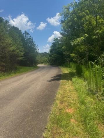 Lt 43&44 Reece Mountain Road Ellijay GA 30536