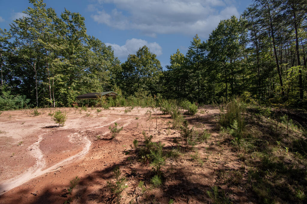 00 Upper Sawyer Creek Robbinsville NC 28771
