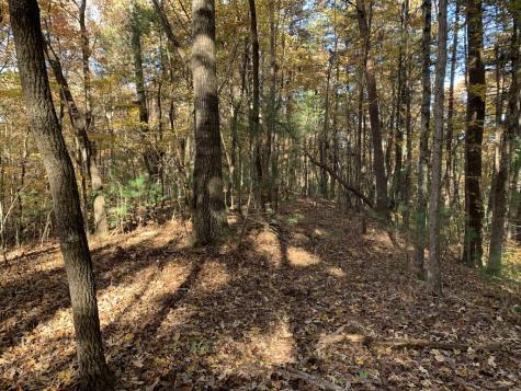 9 Dover Falls Trail Ellijay GA 30540