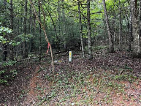 9 Dover Falls Trail Ellijay GA 30540