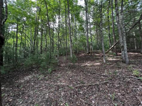 9 Dover Falls Trail Ellijay GA 30540